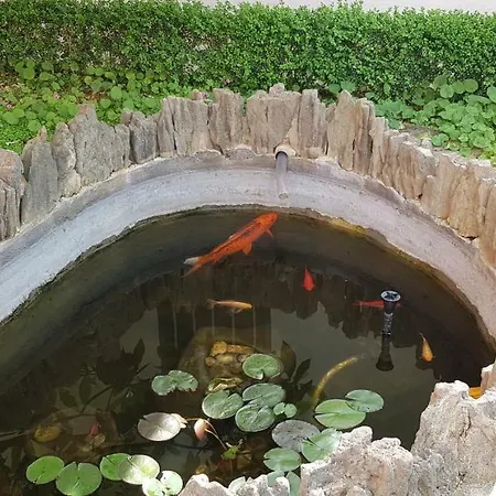 Rustica Apartman Zára