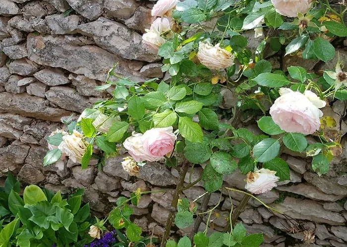 Rustica Apartament *